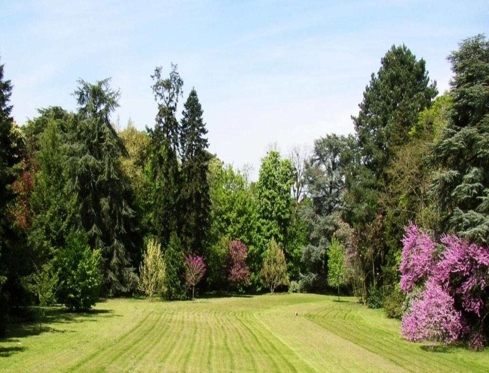Appartement Du Chateau Du Grand Bouchet Ballan-Miré Exteriör bild